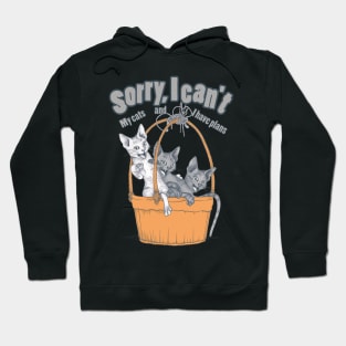 Cats playing with balls of yarn Funny T-shirt 03 Hoodie